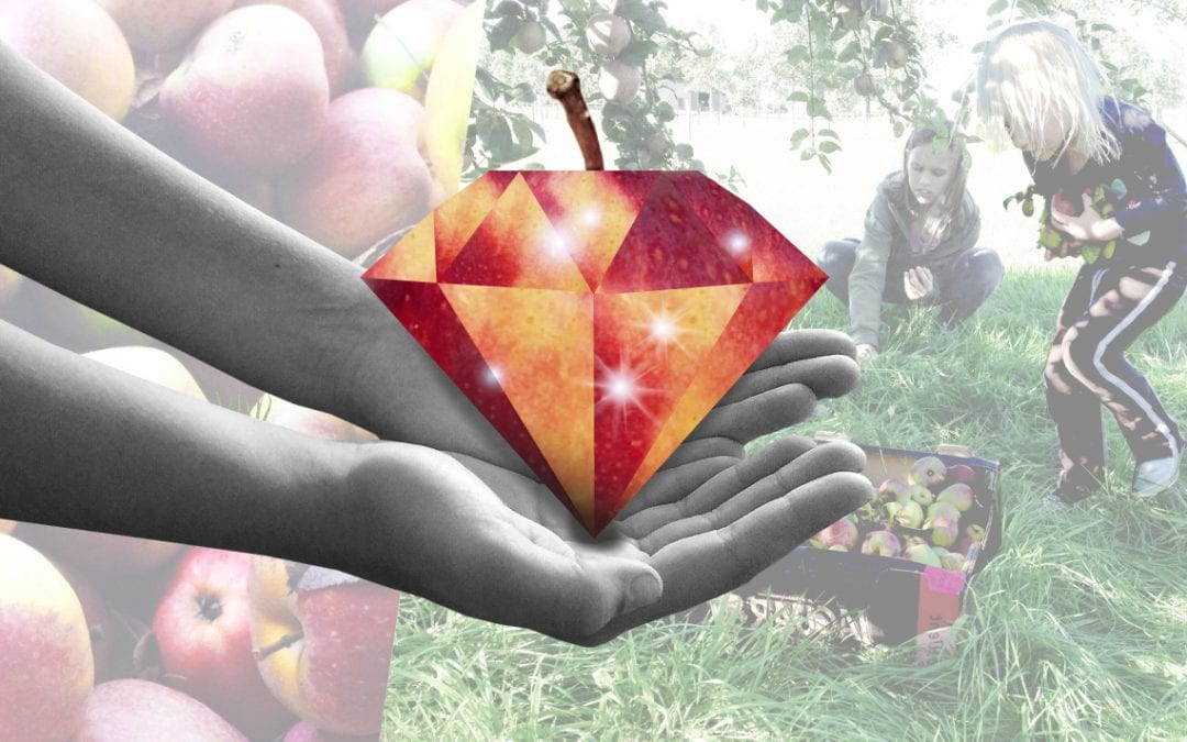 Hoe lokaal eten exotisch wordt