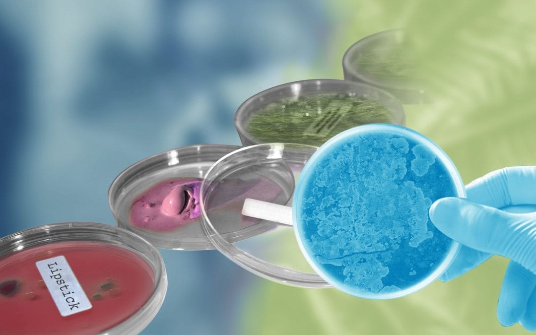 Palmolievrij in 2020?