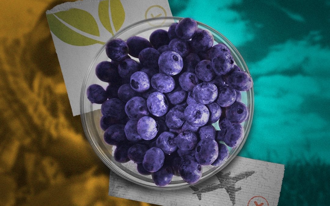 Biologisch is niet altijd hetzelfde als milieuvriendelijk