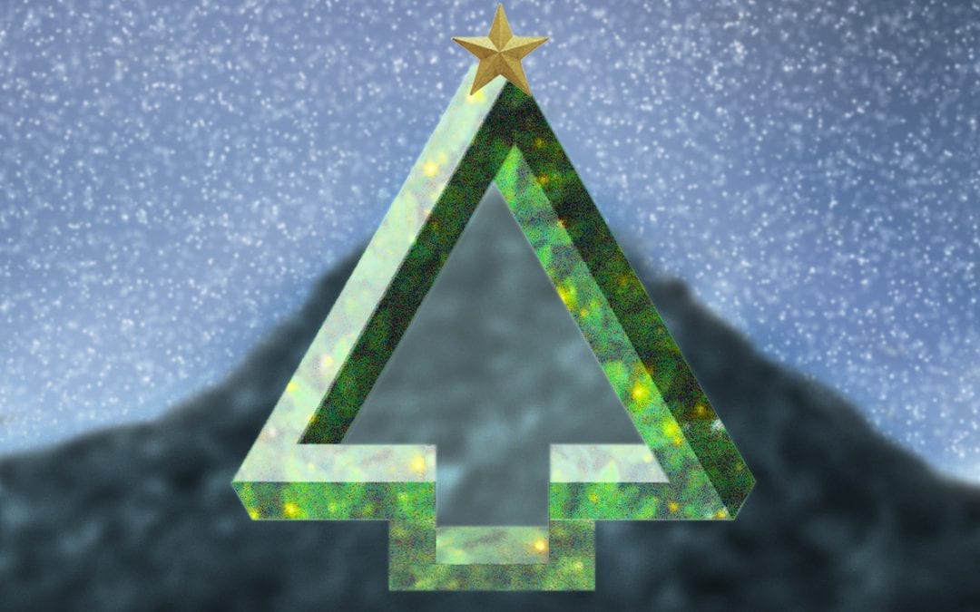 Koester je kerstboom: duurzaam inzamelen