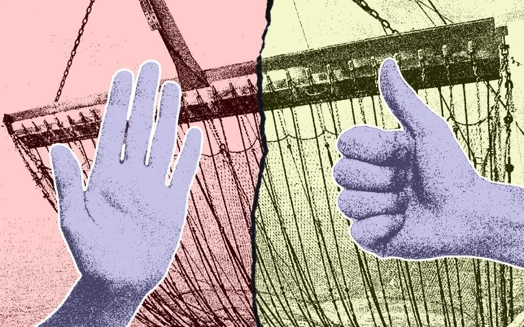 De pulsvisserij-discussie voorbij II