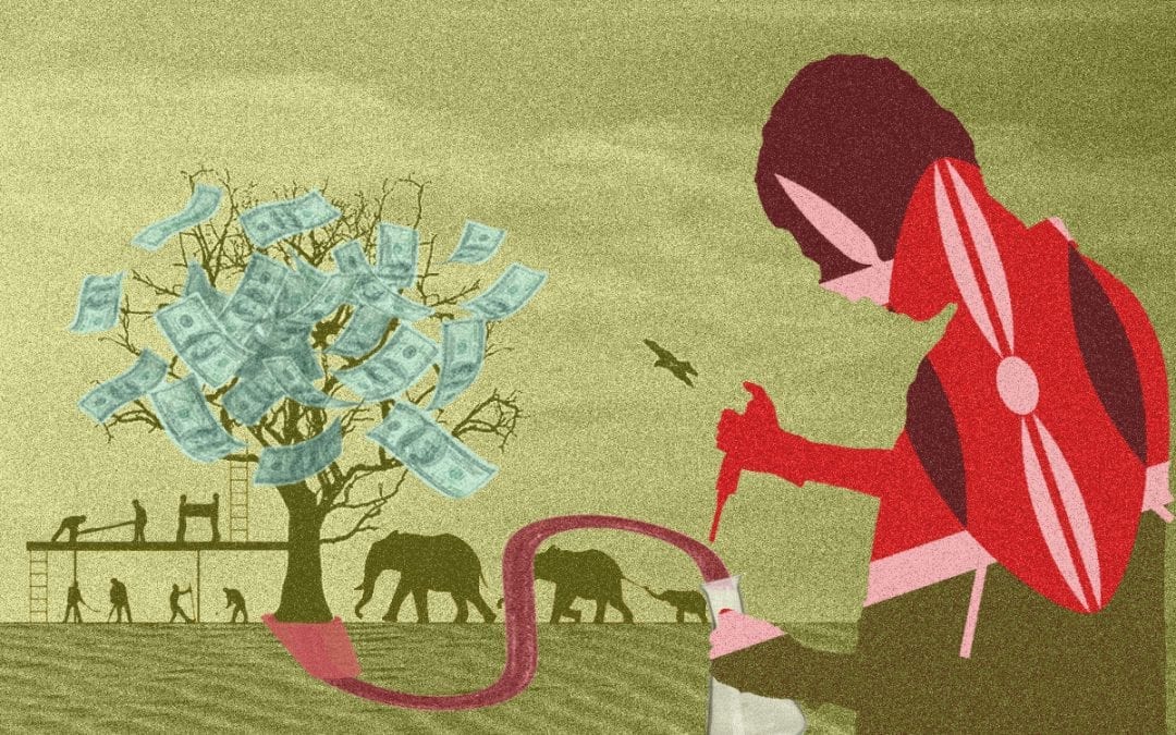 Experimenten met het basisinkomen: wie biedt?