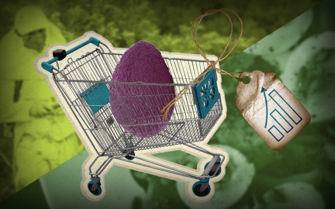 Goedkoop én duurzaam?