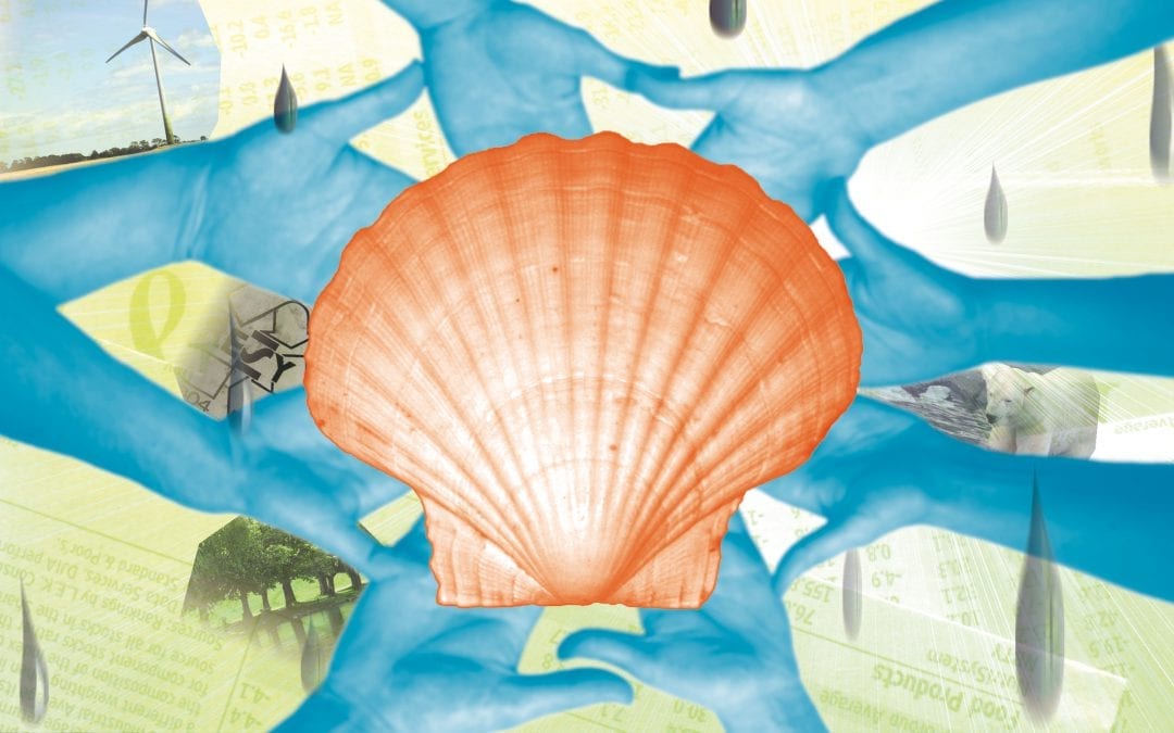 Groene revolutie bij Shell?
