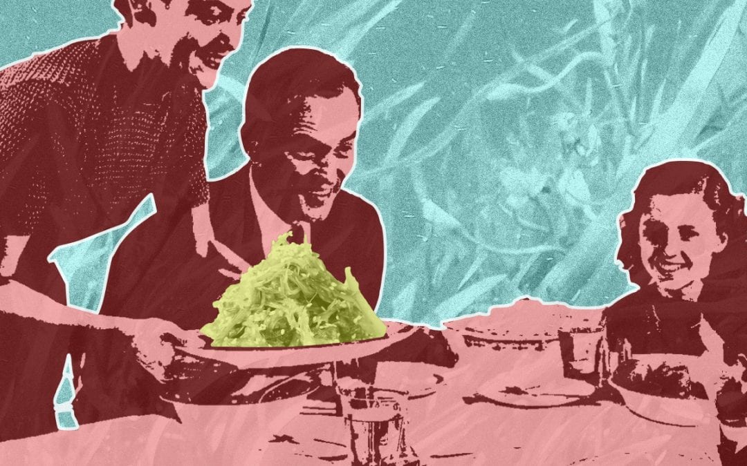 Is zeewier het eten van de toekomst?