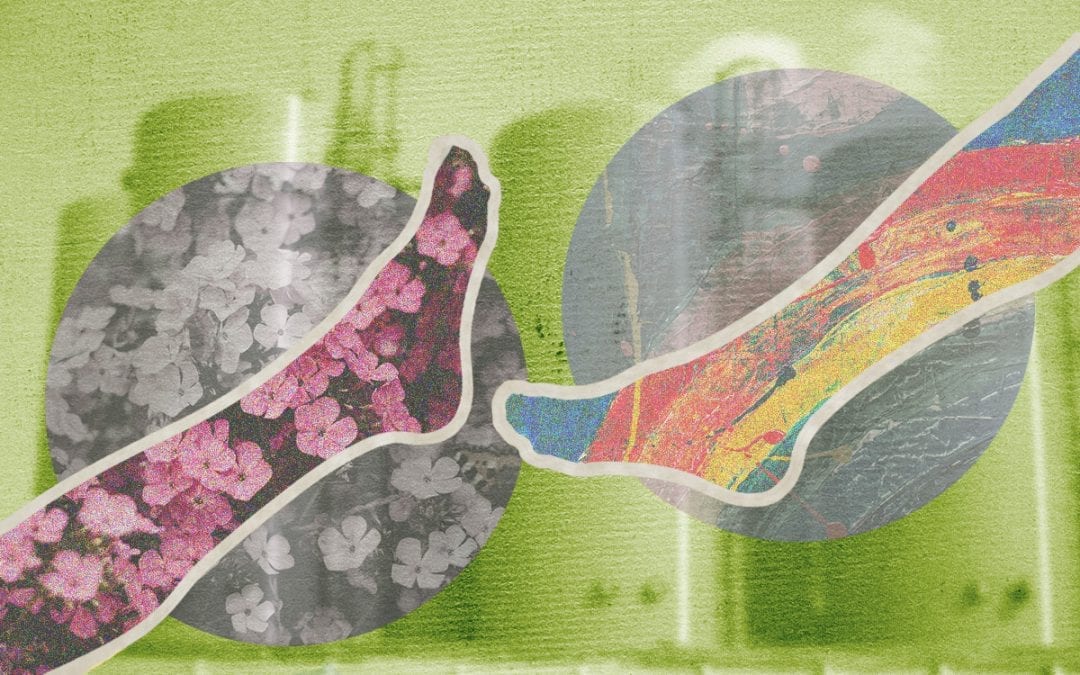 Je panty op de groene ladder