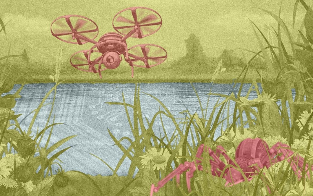 Kan een computer de natuur redden?