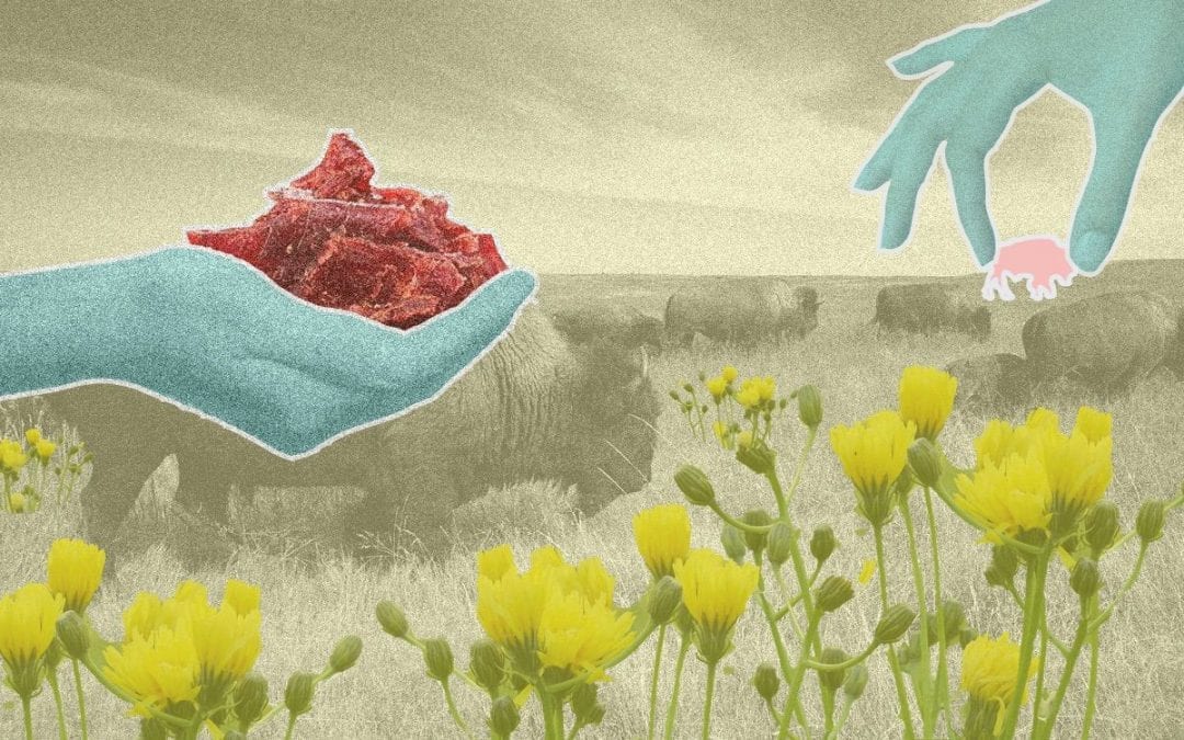 Red de natuur, eet een bizon