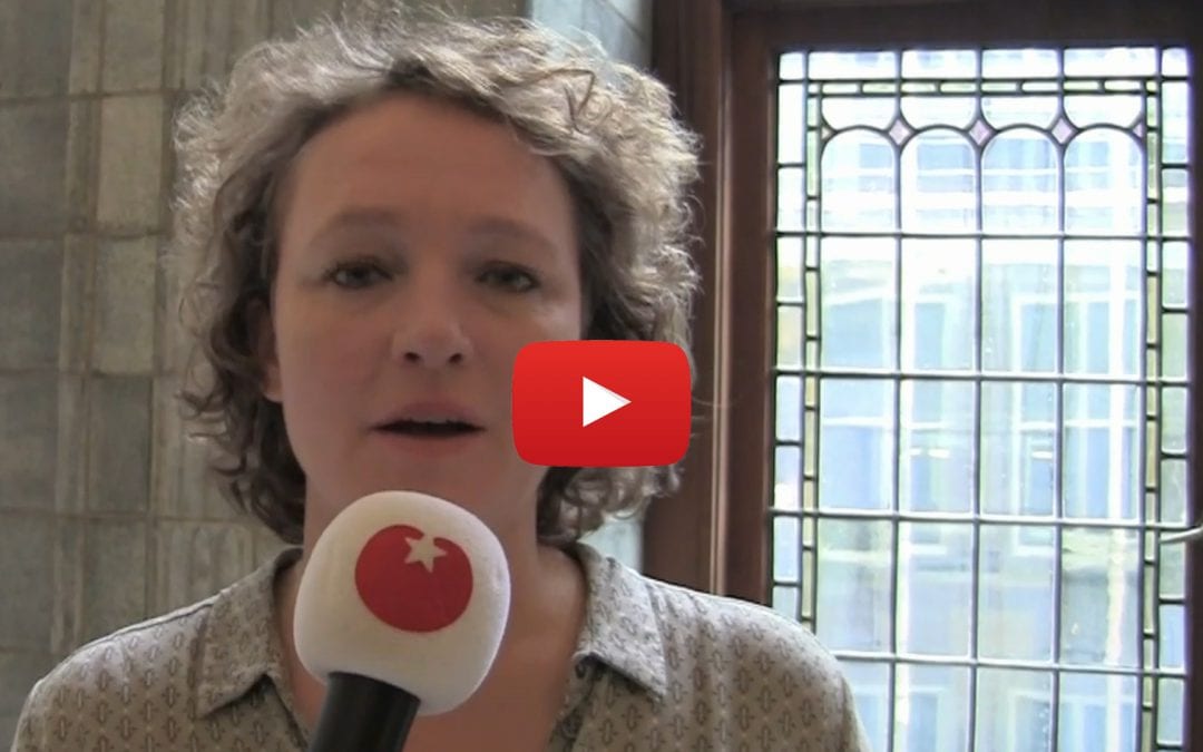De #2miljard van Renske Leijten