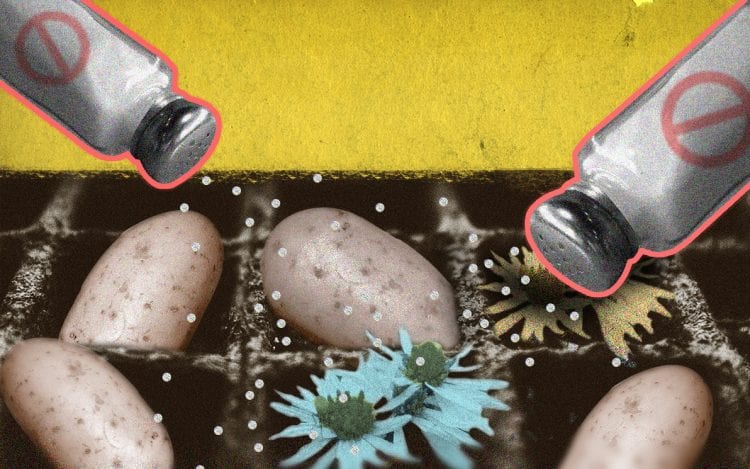 Verzilting: van sluipmoordenaar tot voedingsbodem?