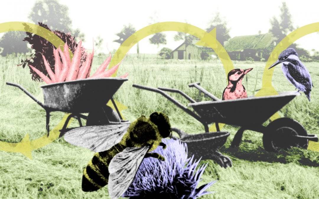Landbouwgif blijft – tenzij we anders leren eten