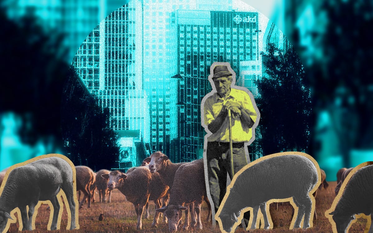 Wat is er eigenlijk met de schaapherder gebeurd?