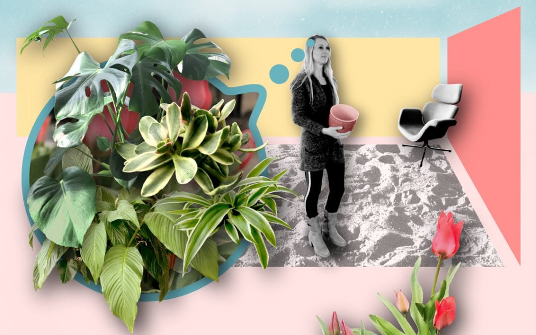 Klein geluk in het plantenasiel